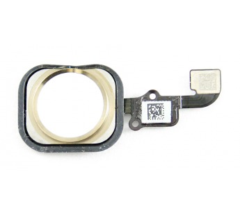 Шлейф для iPhone 6/6 Plus на кнопку HOME в сборе (белая) кант золото