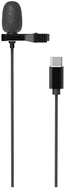 Микрофон петличный Ritmix, RCM-210, 50-20000Гц, -30 дБ ± 3 дБ, кабель Type-C 2.0м, цвет: чёрный